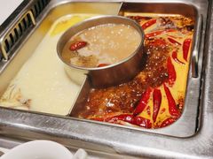 -巴奴毛肚火锅(九洲店)