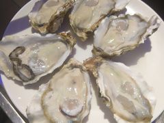 -千岛蚝高压锅生蚝·人参火锅(白云万达店)