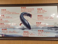 -龙继斑鱼庄(犀浦店)