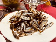 -力哥地道海南菜·联谊文昌鸡老店