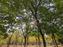 -水西公园