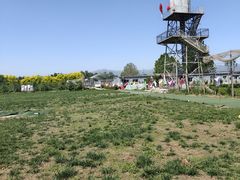 -亲兄弟真人CS团建拓展基地