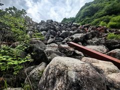 -陕西省红河谷森林公园