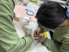 -爱侣·安琦尔宠物医院·中兽医针灸·心内科·狂犬免疫点(宝山区院)