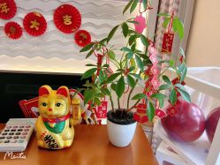 -SILKTONE诗丽堂美容