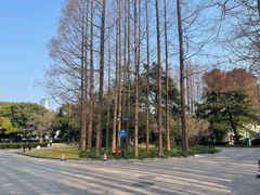 -上海虹桥迎宾馆