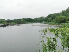 -溱湖国家湿地公园