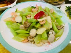 -鸿达渔港