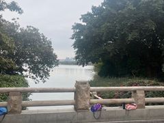 -海珠湖公园