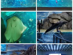 -福州罗源湾海洋世界旅游区