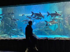 -多彩贵州城极地海洋世界