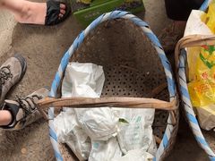 -马陆小张葡萄园农家乐