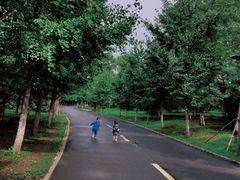 -长白岛森林公园