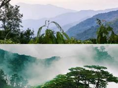 -海南霸王岭国家森林公园