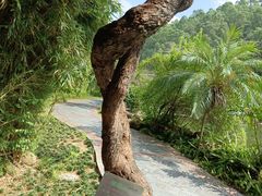 -广州神农草堂中医药博物馆