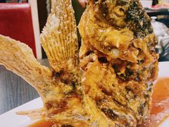 糖醋鲤鱼-老牌坊鲁菜名店(宽厚里店)