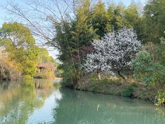 -西溪国家湿地公园