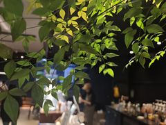 -野鸽子咖啡(航空路店)