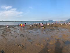-在海一方公园