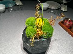 -南堂馆·新川菜(春熙路店)