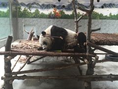 -西安秦岭野生动物园