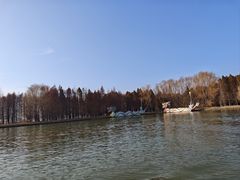 -溱湖国家湿地公园