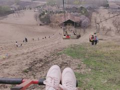 -古柏渡飞黄旅游区