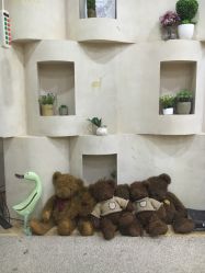 点击看大图 -小阿福儿童摄影(摩尔城店)