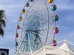 -巨鹏飞梦幻海岸