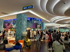 -帝企鹅自助餐厅•儿童岛•真企鹅(长隆企鹅酒店)