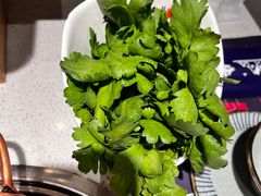 茼蒿菜-牛村来人潮汕牛肉火锅(西单店)