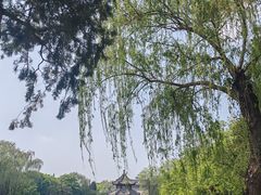-莲池书院博物馆