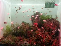 -多彩贵州城极地海洋世界