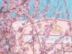 -上海辰山植物园