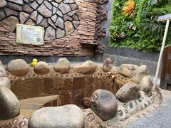 -北京益泉花园酒店
