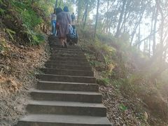 -顺峰山公园