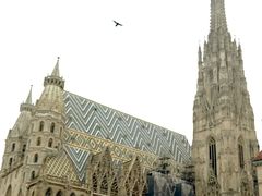 -斯蒂芬主教座堂(Stephansdom)