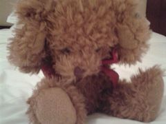 android_upload_pic-太湖湾开元名庭大酒店