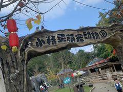 -都江堰玫瑰花溪谷