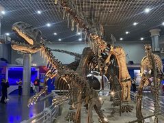 -国家自然博物馆