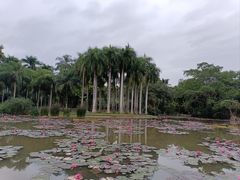 -中国科学院西双版纳热带植物园