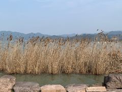 -东钱湖旅游度假区