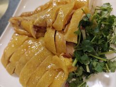 湛江招牌大扇鸡-黄B湛江鸡饭店(粤垦路店)