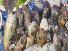 -俏东方·海味水饺·青岛菜(崂山店)