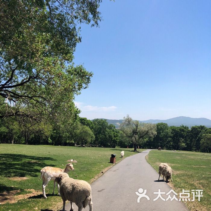 森工平山神鹿旅游区