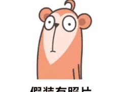 -金沙会馆