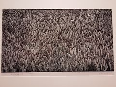 -江苏省美术馆(长江路新馆)