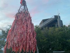 -帽儿山国家森林公园