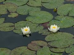 -杭州植物园