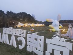-不觉晓CAMPING(上海迪士尼营地店)